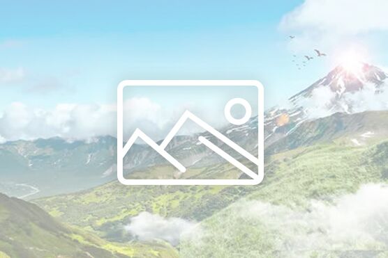 中国教育电视台播出伟德官网专题片《向下扎根 向阳生长——BV伟德官方网站服务地方经济社会发展的生动实践》